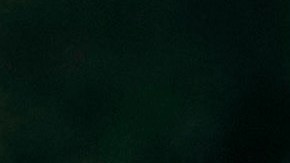 Casa Blanca resta importancia a la posibilidad de que coincidan Jill Biden y Putin en México