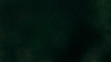 Casa Blanca resta importancia a la posibilidad de que coincidan Jill Biden y Putin en México