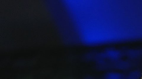 Kamala Harris, vicepresidenta estadounidense