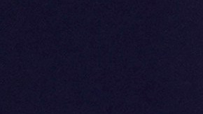 Kamala Harris y Donald Trump, impuestos