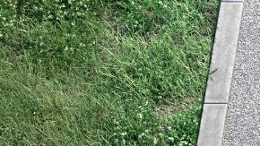 Kia revela más secretos del modelo EV3