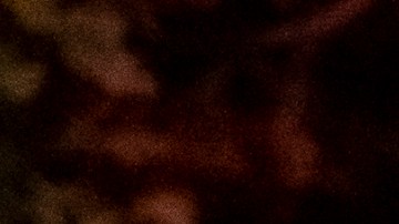 Foto: Los Angeles Hayride Horror