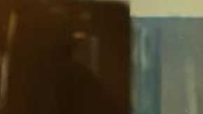 ¿Cómo sería la reintegración de Yolanda Saldívar?