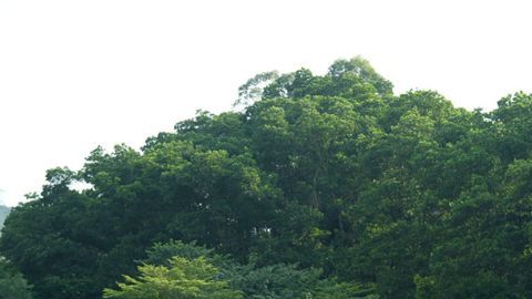 Land Aircraft Carrier, el rival chino del Tesla Cybertruck