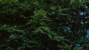 Las cuatro versiones de la Volkswagen California 2024