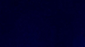 Latin Grammy Karol G y Bad Bunny