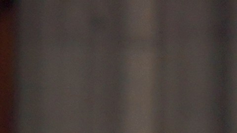 López Obrador asegura que crisis por cárteles de la droga no termina capturando capos