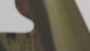 Majo Aguilar Ángela Aguilar