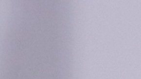 María Corina Machado afirmó que la vida de Edmundo González se encontraba amenazada en Venezuela.