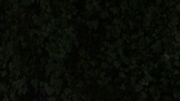 Más señales del regreso del Ford Fiesta 2026