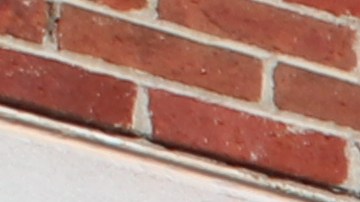 Membresía de Sam's Club