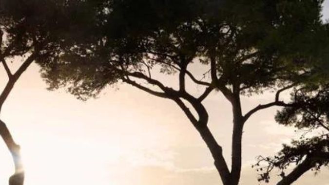 Mitsubishi Outlander PHEV 2024