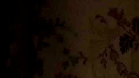 Película "Morelos", disponible en Butaca TV.