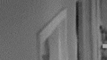 Mujer roba ataúd de funeraria