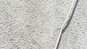 Una vista por fuera del edificio del Nuevo Amanecer Mujer Integral en la comunidad del Este de Los Ángeles.