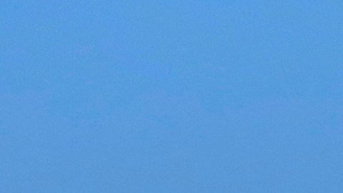 Se espera que la mujer atropellada por un oficial de policía en una playa de Nueva Jersey sobreviva.