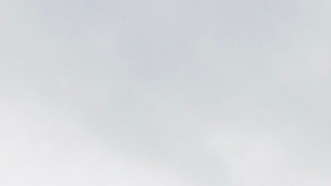 Nadie, incluidos los empleados del tren en Ohio, resultó herido en el incidente.