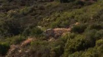 Otro ángulo de la Volkswagen Taos 2025