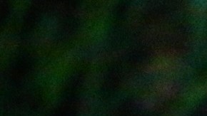 This May 7, 2015 photo provided by the National Park Service shows adult male mountain lion taken with a remote camera who is now known as P-41. National Park Service biologists captured the mountain lion in the Verdugo Mountains a small range surrounded by suburbs north of downtown Los Angeles on May 7, marking the first time a large carnivore has been studied in that small and isolated mountain range. The National Park Service says the adult male was outfitted with a GPS tracking collar and blood and tissue samples were collected before it was released. (National Park Service, via AP)