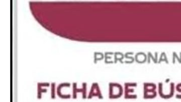 Ramón Camarillo Mirón