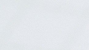 Salario mínimo de Florida