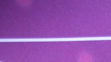 ¡Adrián Marcelo reaparece con nuevo video y Shanik Berman le responde!