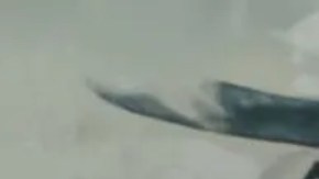 Moshe Sharvit, colono judío extremista.