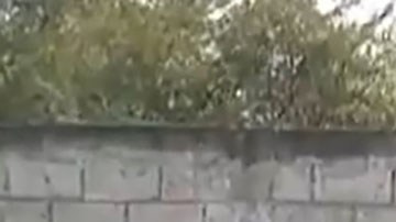 Sicarios del Cártel de Sinaloa