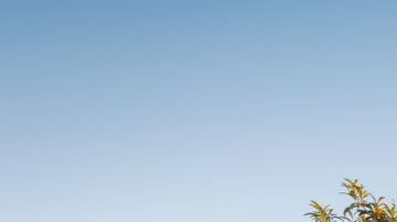 Supercargadores de Tesla (2)