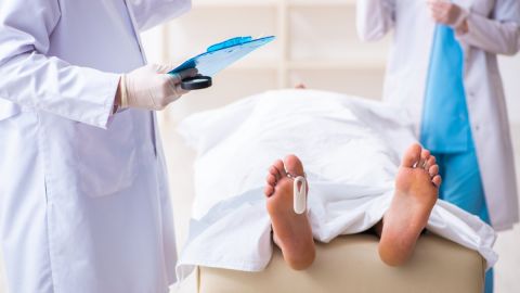 "Tercer estado": estudio revela qué pasa en el cuerpo humano cuando muere