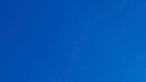 Los transmisores satelitales permitieron documentar el primer caso de depredación de marrajo sardinero.