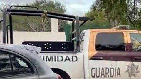 Tigre escapa de zoológico