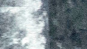 Walz agradeció a Taylor Swift por otorgar su respaldo a Kamala Harris.