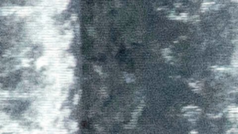 Walz agradeció a Taylor Swift por otorgar su respaldo a Kamala Harris.