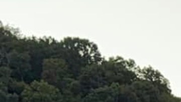 El tirador causó que el tráfico se detuviera en la autopista 75 al norte de London en Kentucky.