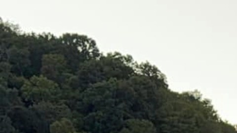 El tirador causó que el tráfico se detuviera en la autopista 75 al norte de London en Kentucky.