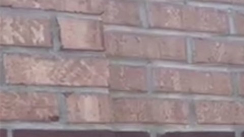 El autor del tiroteo en la escuela de Georgia fue identificado como Colt Gray, un alumno de la escuela que se entregó a las autoridades.