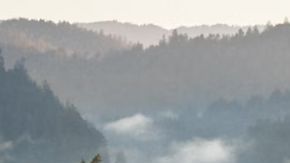 Toyota RAV4 2025 ¿Qué podemos esperar