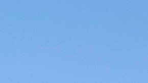 Farmworkers at Del Bosque Farms pick and pack melons on a mobile platform in Firebaugh, Calif., on Friday, July 9, 2021, where temperatures were expected to surpass 110 degrees this weekend. (AP Photo/Terry Chea)