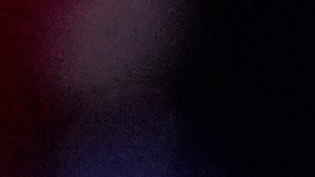 Trump explota el racismo y el prejuicio para alentar a su base.