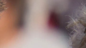 Donald Trump, expresidente estadounidense