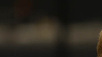 El expresidente Trump modificaría el seguro médico asequible.