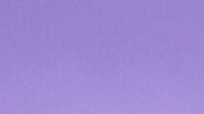 J.D. Vance propone cerrar el gobierno por falta de presupuesto.