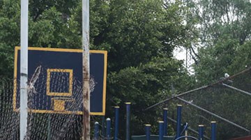 Violencia en México