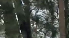 Violencia en Morelos