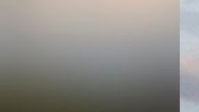 Violencia en Nuevo León