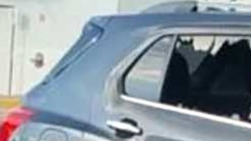 Violencia en Sinaloa