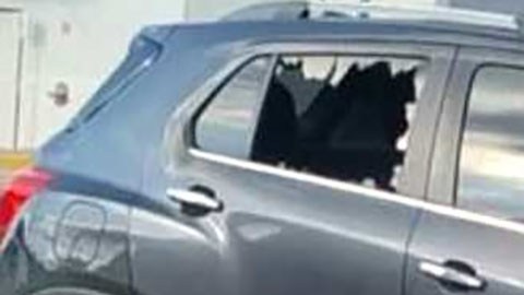 Violencia en Sinaloa