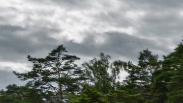 Volkswagen extiende la vida de la plataforma MEB