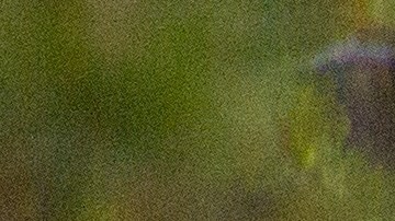 El hombre de Wisconsin sufrió mordeduras en la frente, el brazo y la pierna.